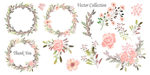 Vector illustration. Wreaths.  Botanical collection of wild and garden plants. Set: leaves, flowers, branches, herbs and other natural elements. - 262237775