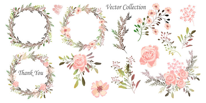 Vector illustration. Wreaths.  Botanical collection of wild and garden plants. Set: leaves, flowers, branches, herbs and other natural elements.
