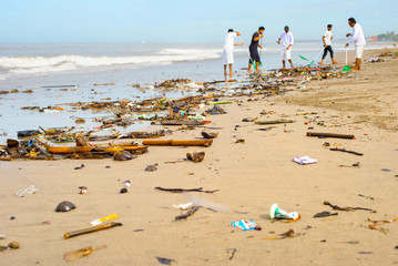  cleaning beach people ocean Bali - 262238155
