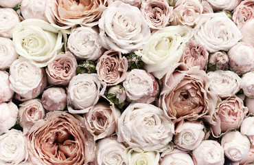 Many delicate rosebuds  are a top view. Vintage style.