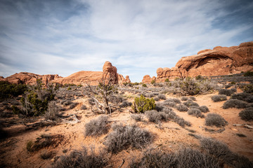 Amazing Scenery at Arches National Park in Utah - travel photography
