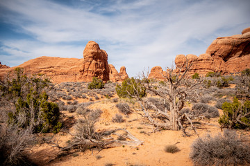 Arches National Park - most beautiful place in Utah - travel photography