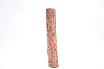 tree trunk
