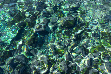 Steiniger Meeresgrund im klaren Wasser mit abstraktem grünen Muster