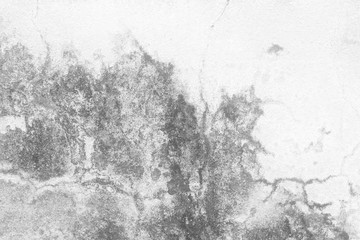 White Grunge Wall Texture Background.