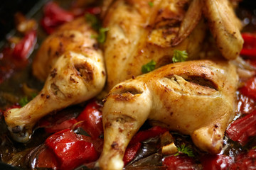 Baked chicken with red pepper harissa sauce. Cooked chicken meat with vegetables