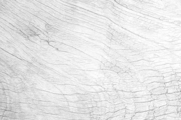 Obraz premium White Wood Texture Background.