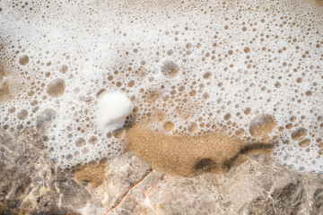 sea wave with bubbles on the sand beach. seashell nautilus on sea beach.