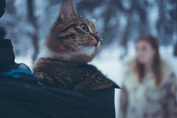 tabby color cat in the hood of a jacket on a blurred background of a girl with flowing hair in a beige fur coat