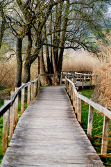 Obraz na płótnie Canvas beatiful nature reserve with a wooden path