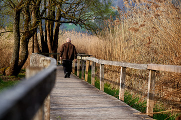 beatiful nature reserve with a wooden path