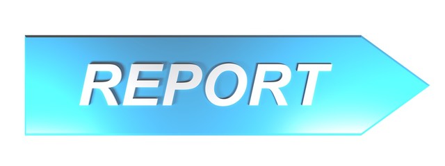 blue arrow pushbutton for REPORT - 3D rendering
