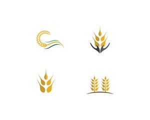 Wheat vector icon illustration