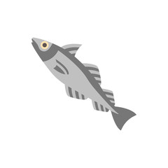 Haddock Illustration
