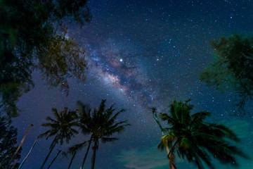 The Milky Way is above the coconut trees at night, Koh Mak, Trat, Thailand