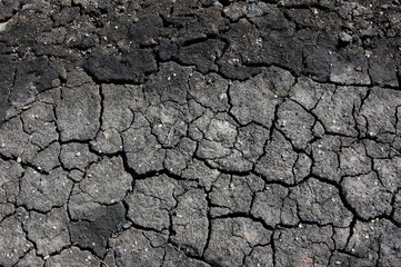 Cracked dry black soil closeup