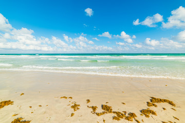 Turquoise water and white sand in world famous South Beach