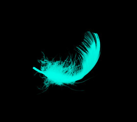 Beautiful feather color blue isolated on black background