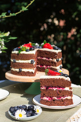 Slice of layered chocolate cake decorated with flowers and berries on the garden table.