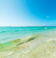 Turquoise water and blue sky in Raisins Clairs beach