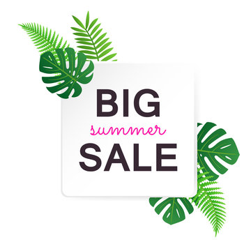 Big summer sale banner with tropical leaves
