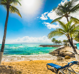 Beach chair and Coconut palm trees in Bas du Fort beach