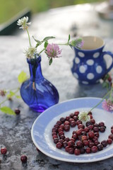 blue small bottle and blue white polka dot pitcher