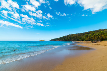 Fototapeta na wymiar Golden sand and blue sea in La Perle beach in Guadeloupe