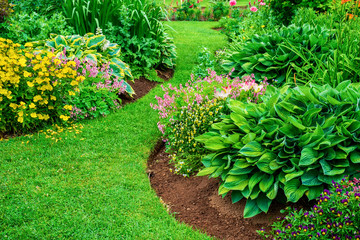 Perennial flower beds with lilies, hosta and bleeding hearts.