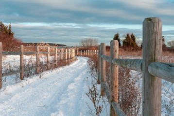 Tracks to beach along snow covered bike path