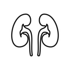 Kidney icon. Vector illustration. Organ icon vector. Anatomy