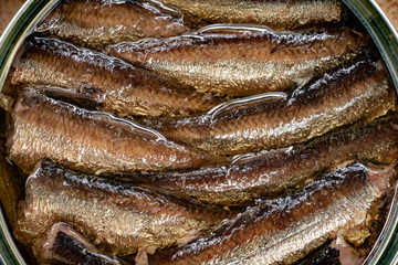 smoked canned sprats in oil