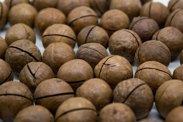 the ground of macadamia nut with shell, macadamia healthy fruit background, macadamia nut organic with shell, selective focus