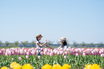 花畑で花を手渡す母と娘