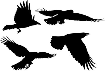 group of four crow black silhouettes on white