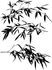 three black bamboo lush branches set illustration