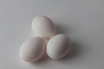 eggs on a white background