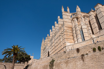 Vista lateral de la Catedral de Santa María de Palma de Mallorca, Islas Baleares. España.