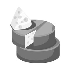 Vector design of cheese and cheddar symbol. Set of cheese and parmesan vector icon for stock.