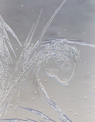 Snow patterns on glass as an abstract background