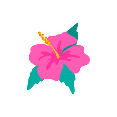 Hand drawn pink hibiscus flower isolated on white. Vector illustration