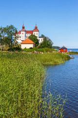 Obraz premium Lakeshore with Reed and a beautiful castle