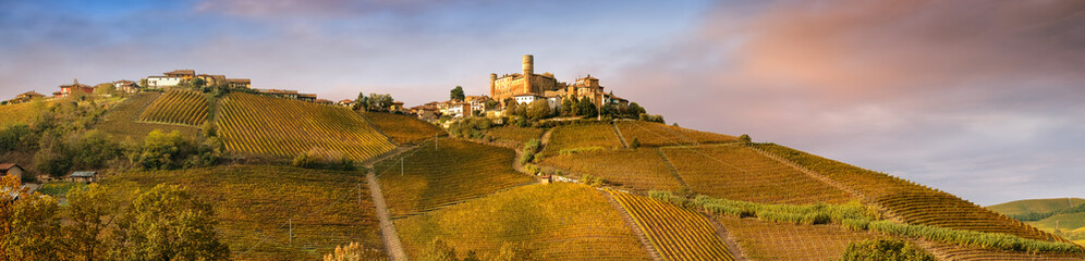 Landscape of Barolo wine region