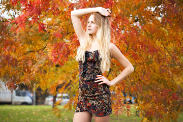 Portrait of beautiful young woman in dress