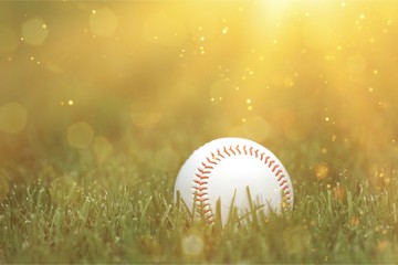 A white used baseball on the fresh green grass with copy space