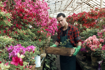 Pretty young gardener male student with trendy hairstyle holding a box with flower