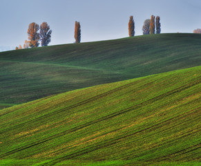 Fototapeta premium hilly field. picturesque hills of autumn field. autumn sunrise