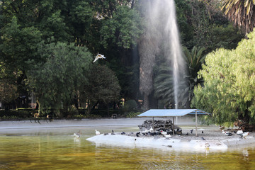 Parque en ciudad de México