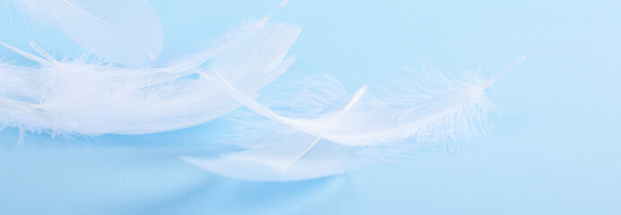 Fototapeta na wymiar A lot of white feathers on a blue background. Light shades and selective focus. Copy space. Banner. Long format,