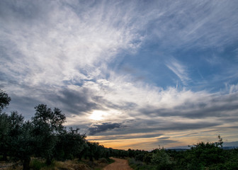 Sunset landscape